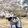 橘一只