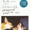 日光在我们之间