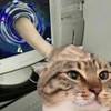 Jun