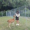 hsin_0331