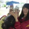 starcruise_05