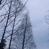 峻曦