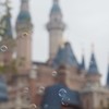 吠天小女锦