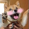 steven360steven360