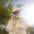 still_sun_53p