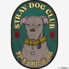 野狗俱乐部 Stray Dog Club
