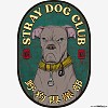 野狗俱乐部 Stray Dog Club