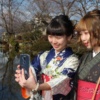 牛