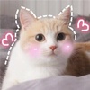 阿荣