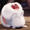 Sugar._.