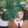 猫夏
