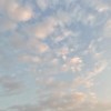 summer_grass_peiyu