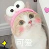 你要不要吃哈密瓜