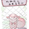 九州稳的一批