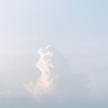summer_sweetbeans