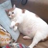 桑妮