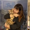 飞轮子