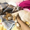 sunny_Tsai