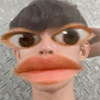 Jnovice._06