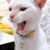 susayu