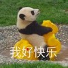 swag颜