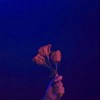 一言不开花