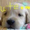 BIBIFI