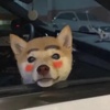 绷带