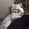 little_wave_vtr