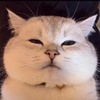 特价