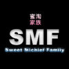 the SMF