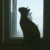 猫某人