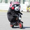 张育铭