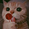 tina_chiu