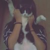 tining_cat0407