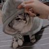 九子