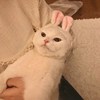 晕船庭庭