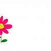 last night, good night【飞花】