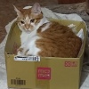 tommy07140713
