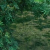 水谷