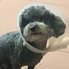 陈静