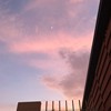 lily_zhang