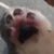 Q嚼