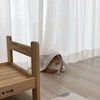 〇