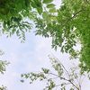 小邀