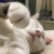 ゆら