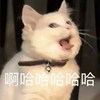 Mizu
