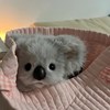 🐨ྀི