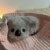 🐨ྀི