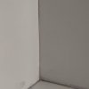 言永